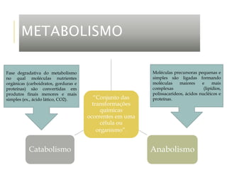 METABOLISMO
“Conjunto das
transformações
químicas
ocorrentes em uma
célula ou
organismo”.
Anabolismo
Catabolismo
Fase degradativa do metabolismo
no qual moléculas nutrientes
orgânicas (carboidratos, gorduras e
proteínas) são convertidas em
produtos finais menores e mais
simples (ex., ácido lático, CO2).
Moléculas precursoras pequenas e
simples são ligadas formando
moléculas maiores e mais
complexas (lipídios,
polissacarídeos, ácidos nucléicos e
proteínas.
 