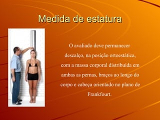 Medida de estatura O avaliado deve permanecer descalço, na posição ortoestática, com a massa corporal distribuída em ambas as pernas, braços ao longo do corpo e cabeça orientado no plano de Frankfourt.  