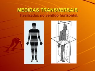 MEDIDAS TRANSVERSAIS Realizadas no sentido horizontal.  