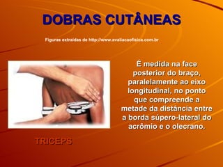 DOBRAS CUTÂNEAS TRICEPS É medida na face posterior do braço, paralelamente ao eixo longitudinal, no ponto que compreende a metade da distância entre a borda súpero-lateral do acrômio e o olecrano. Figuras extraídas de http://www.avaliacaofisica.com.br 