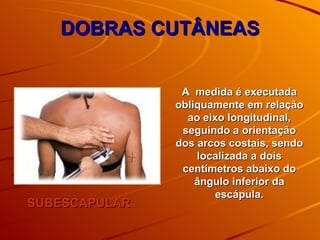 DOBRAS CUTÂNEAS SUBESCAPULAR A  medida é executada obliquamente em relação ao eixo longitudinal, seguindo a orientação dos arcos costais, sendo localizada a dois centímetros abaixo do ângulo inferior da escápula. 