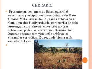 CERRADO:
  Presente em boa parte do Brasil central é
encontrado principalmente nos estados do Mato
Grosso, Mato Grosso do Sul, Goiás e Tocantins.
Com uma rica biodiversidade, caracteriza-se pela
presença de gramíneas, arbustos e árvores
retorcidas, podendo ocorrer em determinados
lugares bosques com vegetação arbórea, os
chamados cerradões. É o segundo bioma mais
extenso do Brasil.

 