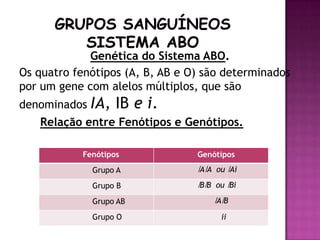 Genética do Sistema ABO.
Os quatro fenótipos (A, B, AB e O) são determinados
por um gene com alelos múltiplos, que são
denominados IA,    IB e i.
   Relação entre Fenótipos e Genótipos.

           Fenótipos             Genótipos
             Grupo A             ǀAǀA ou ǀAi
             Grupo B             ǀBǀB ou ǀBi
             Grupo AB                ǀAǀB
             Grupo O                   ii
 