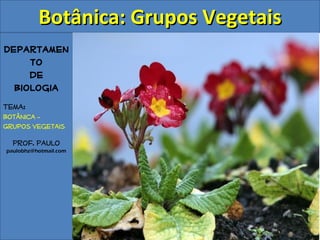 Botânica: Grupos Vegetais
Departamen
     to
     de
  Biologia
Tema:
Botânica –
Grupos Vegetais

  Prof. Paulo
paulobhz@hotmail.com
 