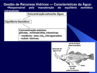 Responsável pela manutenção do equilíbrio osmótico intracelular. Gestão de Recursos Hídricos — Características da Água:   