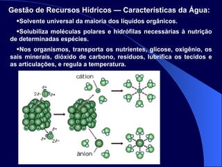 Solvente universal da maioria dos líquidos orgânicos. Solubiliza moléculas polares e hidrófilas necessárias à nutrição de determinadas espécies. Nos organismos, transporta os nutrientes, glicose, oxigênio, os sais minerais, dióxido de carbono, resíduos, lubrifica os tecidos e as articulações, e regula a temperatura. Gestão de Recursos Hídricos — Características da Água:   