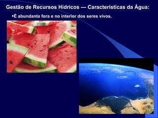 É abundante fora e no interior dos seres vivos. Gestão de Recursos Hídricos — Características da Água:   