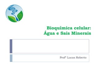 Bioquímica celular:
Água e Sais Minerais
Profº Lucas Roberto
 