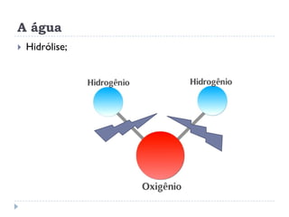 A água
 Hidrólise;
 