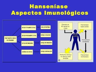 Hanseníase
Aspectos Imunológicos
 
