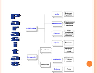 Amibas
Entamoeba
hystolitica
Esporozoários
Flagelados
Ciliados
Nematelmintas
Platelmintas
Protozoários
Metazoários
Tremátodos
Céstodos
Criptosporidium
Plasmodium
Toxoplasma
Giardia
Trichomonas
Trypanosoma
Leishmania
Balantidium
Nemátodos
Intestinais e
Filárias
Schistosomas
e Fascíola
hepática
Ténias
 