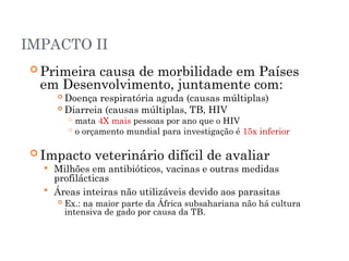 IMPACTO II
 Primeira causa de morbilidade em Países
em Desenvolvimento, juntamente com:
 Doença respiratória aguda (causas múltiplas)
 Diarreia (causas múltiplas, TB, HIV
 mata 4X mais pessoas por ano que o HIV
 o orçamento mundial para investigação é 15x inferior
 Impacto veterinário difícil de avaliar
 Milhões em antibióticos, vacinas e outras medidas
profilácticas
 Áreas inteiras não utilizáveis devido aos parasitas
 Ex.: na maior parte da África subsahariana não há cultura
intensiva de gado por causa da TB.
 