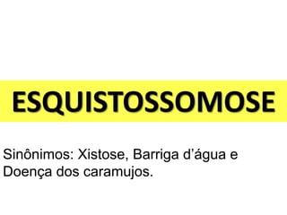 ESQUISTOSSOMOSE
Sinônimos: Xistose, Barriga d’água e
Doença dos caramujos.
 