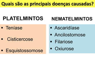 Quais são as principais doenças causadas?
PLATELMINTOS NEMATELMINTOS
 Teníase
 Cisticercose
 Esquistossomose
 Ascaridíase
 Ancilostomose
 Filariose
 Oxiurose
 