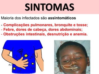 SINTOMAS
Maioria dos infectados são assintomáticos
- Complicações pulmonares, bronquite e tosse;
- Febre, dores de cabeça, dores abdominais;
- Obstruções intestinais, desnutrição e anemia.
 