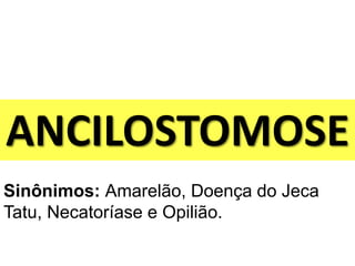 ANCILOSTOMOSE
Sinônimos: Amarelão, Doença do Jeca
Tatu, Necatoríase e Opilião.
 