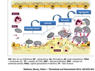 VW- fator de von Willebrand; GP – glicoproteína; Fg- fibrinogênio; AA- ácido araquidônico; TXA2
– tromboxane A2; TP – receptor de TXA2; ADP – adenosina difosfato; PAR – receptor de
proteinase ativado; PSGL- Ligante glicoproteína P-selectina; TF – fator tecidual
Badimon, Storey, Viahur – Thrombosis and Haemostasis 2012: 105:S34-S42
Contato inicial
Adesão
Ativação
Agregação
 