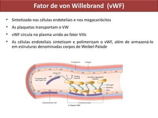 Fator de von Willebrand (vWF)
• Sintetizado nas células endoteliais e nos megacariócitos
• As plaquetas transportam o VW
• vWF circula no plasma unido ao fator VIIIc
• As células endoteliais sintetizam e polimerizam o vWF, além de armazená-lo
em estruturas denominadas corpos de Weibel-Palade
 