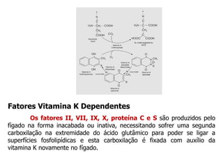 Fatores Vitamina K Dependentes
Os fatores II, VII, IX, X, proteína C e S são produzidos pelo
fígado na forma inacabada ou inativa, necessitando sofrer uma segunda
carboxilação na extremidade do ácido glutâmico para poder se ligar a
superfícies fosfolipídicas e esta carboxilação é fixada com auxílio da
vitamina K novamente no fígado.
 
