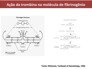 Ação da trombina na molécula de fibrinogênio
Fonte: McKenzie, Textbook of Hematology, 1996
 