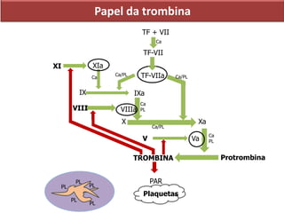 Papel da trombina
TROMBINA Protrombina
Plaquetas
PL
PL
PL
PL
PL
TF + VII
TF-VII
TF-VIIa
XIaXI
X
IXa
VIII VIIIa
V Va
IX
Xa
Ca
Ca
Ca/PL
Ca/PL Ca/PL
Ca
PL
Ca
PL
PAR
 