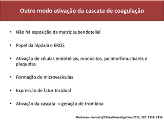 Outro modo ativação da cascata de coagulação
• Não há exposição da matriz subendotelial
• Papel da hipóxia e EROS
• Ativação de células endoteliais, monócitos, polimorfonucleares e
plaquetas
• Formação de microvesículas
• Expressão de fator tecidual
• Ativação da cascata = geração de trombina
Mackman -Journal of Clinical Investigation, 2012; 122: 2331- 2336
 