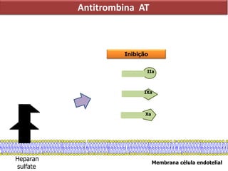 Membrana célula endotelial
Heparan
sulfate
IIa
Xa
Antitrombina AT
IXa
Inibição
 