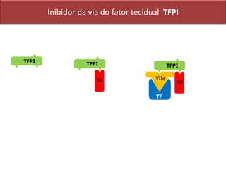 Inibidor da via do fator tecidual TFPI
TF
VIIa
Xa
TFPI
Xa
TFPI
TFPI
 