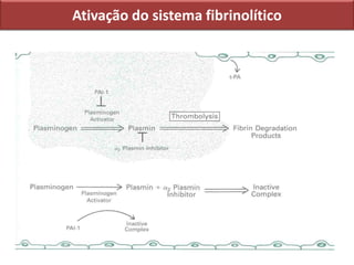 Ativação do sistema fibrinolítico
 