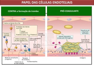 PAPEL DAS CÉLULAS ENDOTELIAIS
CONTRA a formação do trombo PRÓ-COAGULANTE
 