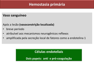 Hemostasia primária
Vaso sanguíneo
Após a lesão (vasoconstrição localizada)
• breve período
• atribuível aos mecanismos neurogênicos reflexos
• amplificada pela secreção local de fatores como a endotelina 1
Células endoteliais
Dois papeis: anti e pró-coagulação
 