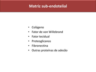 Matriz sub-endotelial
• Colágeno
• Fator de von Willebrand
• Fator tecidual
• Proteoglicanos
• Fibronectina
• Outras proteínas de adesão
 