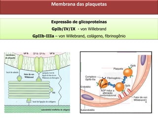 Expressão de glicoproteínas
GpIb/IV/IX - von Willebrand
GpIIb-IIIa – von Willebrand, colágeno, fibrinogênio
Membrana das plaquetas
 