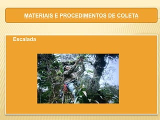  Escalada
MATERIAIS E PROCEDIMENTOS DE COLETA