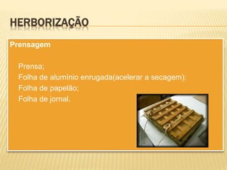 HERBORIZAÇÃO
Prensagem
Prensa;
Folha de alumínio enrugada(acelerar a secagem);
Folha de papelão;
Folha de jornal.