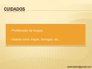 CUIDADOS
- Proliferação de fungos.
- Insetos como traças, formigas, etc.
deabotelho@gmail.com