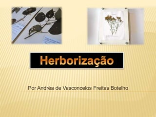 Por Andréa de Vasconcelos Freitas Botelho
 