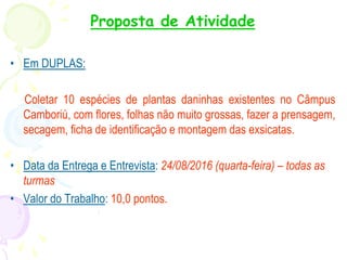 Proposta de Atividade
• Em DUPLAS:
Coletar 10 espécies de plantas daninhas existentes no Câmpus
Camboriú, com flores, folhas não muito grossas, fazer a prensagem,
secagem, ficha de identificação e montagem das exsicatas.
• Data da Entrega e Entrevista: 24/08/2016 (quarta-feira) – todas as
turmas
• Valor do Trabalho: 10,0 pontos.
 