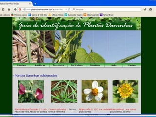 AulaHerbárioDaninhas.ppt