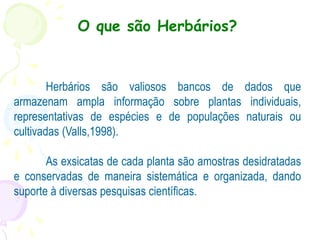 O que são Herbários?
Herbários são valiosos bancos de dados que
armazenam ampla informação sobre plantas individuais,
representativas de espécies e de populações naturais ou
cultivadas (Valls,1998).
As exsicatas de cada planta são amostras desidratadas
e conservadas de maneira sistemática e organizada, dando
suporte à diversas pesquisas científicas.
 
