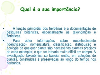 Qual é a sua importância?
• A função primordial dos herbários é a documentação de
pesquisas botânicas, especialmente as taxonômicas e
florísticas.
• Para obter informações sobre reconhecimento
(identificação), nomenclatura, classificação, distribuição e
ecologia de qualquer planta são necessários exames precisos
de cada exemplar, o que se tornaria muito difícil em campo. A
investigação taxonômica se baseia, então, em coleções de
plantas, construídas e preservadas ao longo do tempo nos
herbários.
 