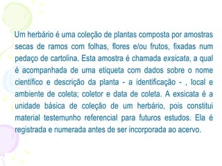 Um herbário é uma coleção de plantas composta por amostras
secas de ramos com folhas, flores e/ou frutos, fixadas num
pedaço de cartolina. Esta amostra é chamada exsicata, a qual
é acompanhada de uma etiqueta com dados sobre o nome
científico e descrição da planta - a identificação - , local e
ambiente de coleta; coletor e data de coleta. A exsicata é a
unidade básica de coleção de um herbário, pois constitui
material testemunho referencial para futuros estudos. Ela é
registrada e numerada antes de ser incorporada ao acervo.
 