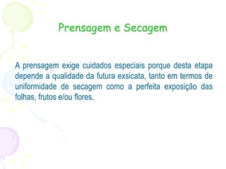 Prensagem e Secagem
A prensagem exige cuidados especiais porque desta etapa
depende a qualidade da futura exsicata, tanto em termos de
uniformidade de secagem como a perfeita exposição das
folhas, frutos e/ou flores.
 