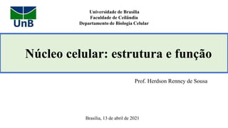 Núcleo celular: estrutura e função
Prof. Herdson Renney de Sousa
Universidade de Brasília
Faculdade de Ceilândia
Departamento de Biologia Celular
Brasília, 13 de abril de 2021
 