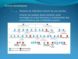 Árvores Genealógicas

             História do indivíduo através da sua família.
             Através da análise dessa história, pode
             investigar-se como decorreu a transmissão das
             características que o indivíduo possui.
 