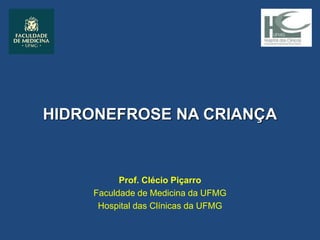 HIDRONEFROSE NA CRIANÇA
Prof. Clécio Piçarro
Faculdade de Medicina da UFMG
Hospital das Clínicas da UFMG
 
