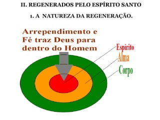 II. REGENERADOS PELO ESPÍRITO SANTO
 
1. A NATUREZA DA REGENERAÇÃO. 
 