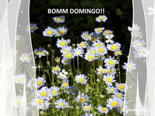 BOMM DOMINGO!!
 