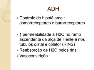 ADH
 Controle do hipotálamo :
osmorreceptores e barorreceptores
 ↑ permeabilidade à H2O no ramo
ascendente da alça de Henle e nos
túbulos distal e coletor (RINS)
 Reabsorção de H2O pelos rins
 Vasoconstrição
 