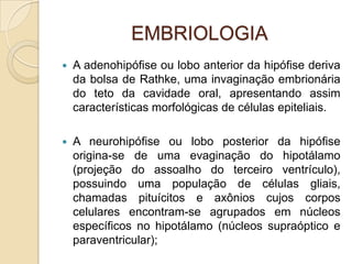 EMBRIOLOGIA
 A adenohipófise ou lobo anterior da hipófise deriva
da bolsa de Rathke, uma invaginação embrionária
do teto da cavidade oral, apresentando assim
características morfológicas de células epiteliais.
 A neurohipófise ou lobo posterior da hipófise
origina-se de uma evaginação do hipotálamo
(projeção do assoalho do terceiro ventrículo),
possuindo uma população de células gliais,
chamadas pituícitos e axônios cujos corpos
celulares encontram-se agrupados em núcleos
específicos no hipotálamo (núcleos supraóptico e
paraventricular);
 